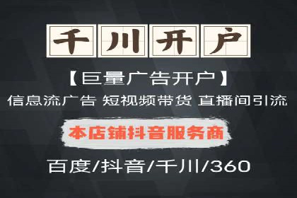 XX行业竞价广告的投放策略与效果分析
